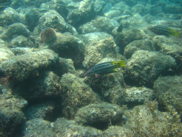 IMG_1290.JPG