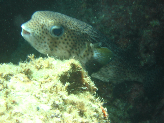 IMG_1302.JPG