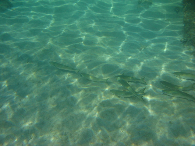 IMG_1123.JPG