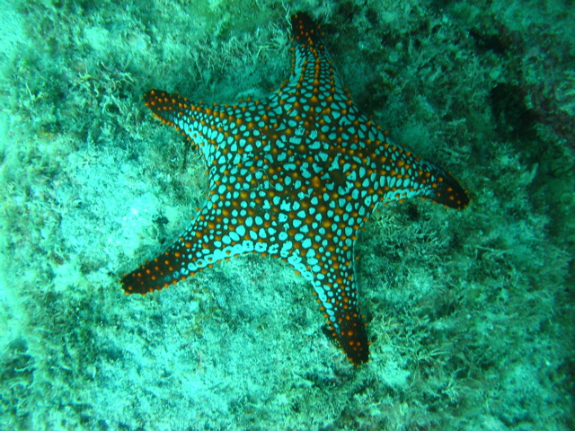 IMG_1436.JPG