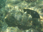 IMG_1112.JPG