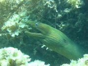 IMG_1277.JPG