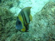 IMG_1283.JPG