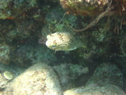 IMG_1291.JPG