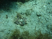 IMG_1292.JPG