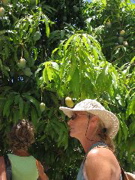 IMG_1356.JPG