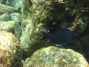 IMG_1414.JPG
