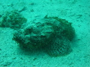 IMG_1434.JPG