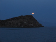 IMG_1439.JPG