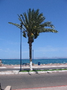 IMG_1451.JPG