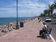 IMG_1453.JPG