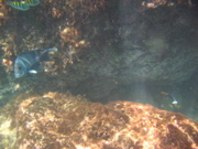IMG_1559.JPG
