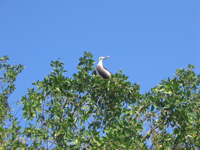 IMG_2263.JPG