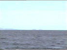 Guadalupe - South Islands