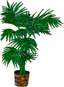 Green Plant