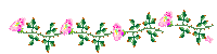 flower bar