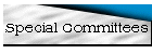 Special Committees