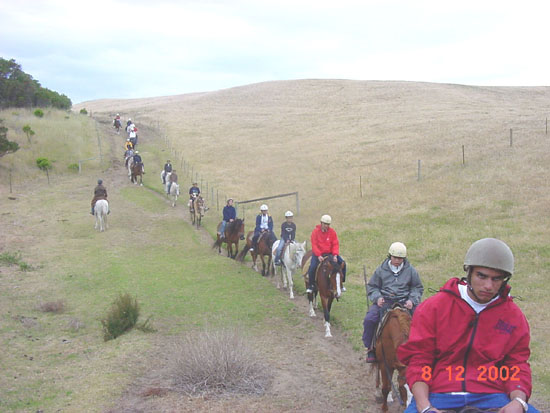 horse_riding