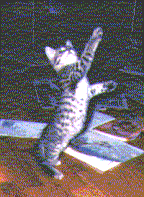Cleo stretching
