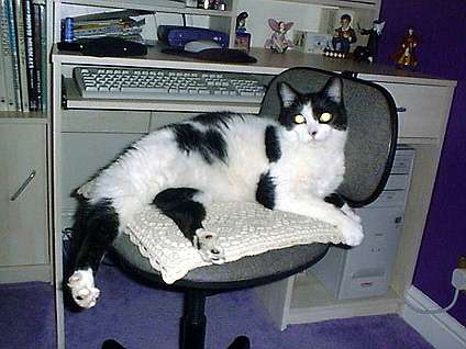 Geordie taking over, March 2002