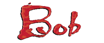 BOB's BIO!