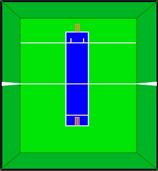 This is where the action is. The INDOOR CRICKET COURT!