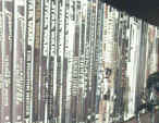 akun DVDS!