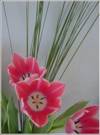 flowerpower [tulips]