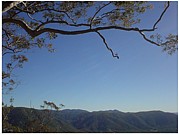 nature [lookout]