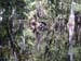 08-DSCN1529