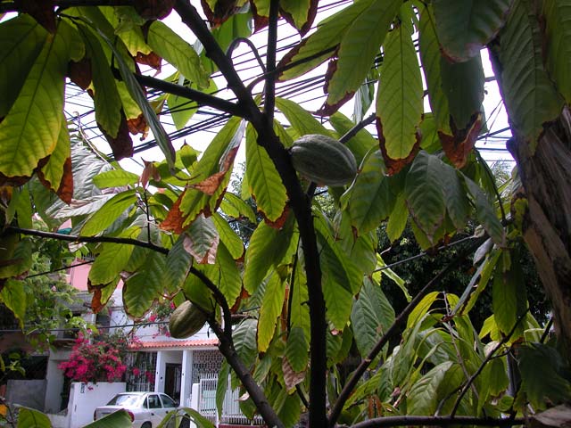DSCN6805