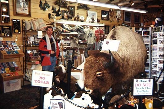 Buffalo (53528 bytes)