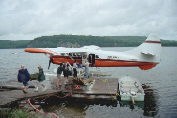 Air-Dale Beaver (47244 bytes)