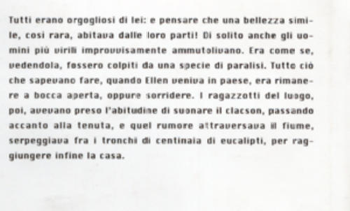 eucaliptus2.jpg (23339 byte)