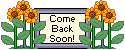 sunflowcomebacksoon.gif (2308 bytes)