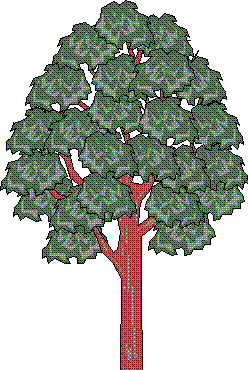 tree8.gif (13420 bytes)