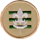 seniorpatrol