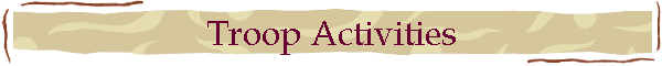 Troop Activities