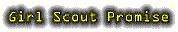 promise.gif (2804 bytes)