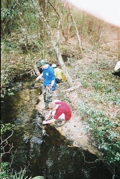 50milehike2005edwardhornsbypic013.JPG (45272 bytes)