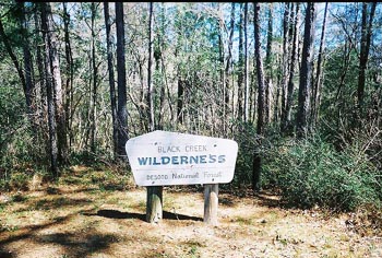 50milehike2005edwardhornsbypic022.JPG (54046 bytes)
