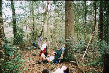 50milehike2005edwardhornsbypic023.JPG (52183 bytes)
