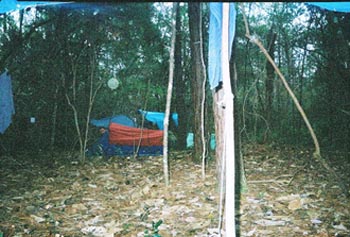 50milehike2005edwardhornsbypic026.JPG (36759 bytes)