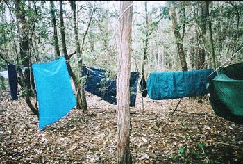 50milehike2005edwardhornsbypic034.JPG (50936 bytes)