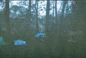50milehike2005edwardhornsbypic050.JPG (38009 bytes)