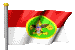 BSA Flag