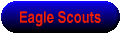 Eagle Scouts