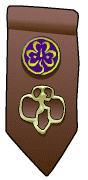Brownie Insignia Tab with pins