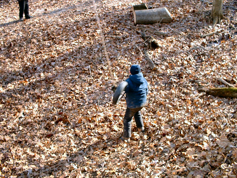 this is a lot of leaves!