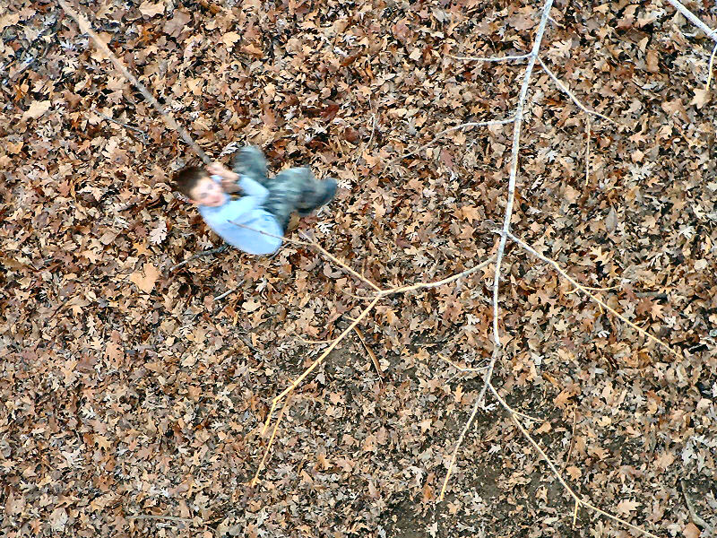 swinging